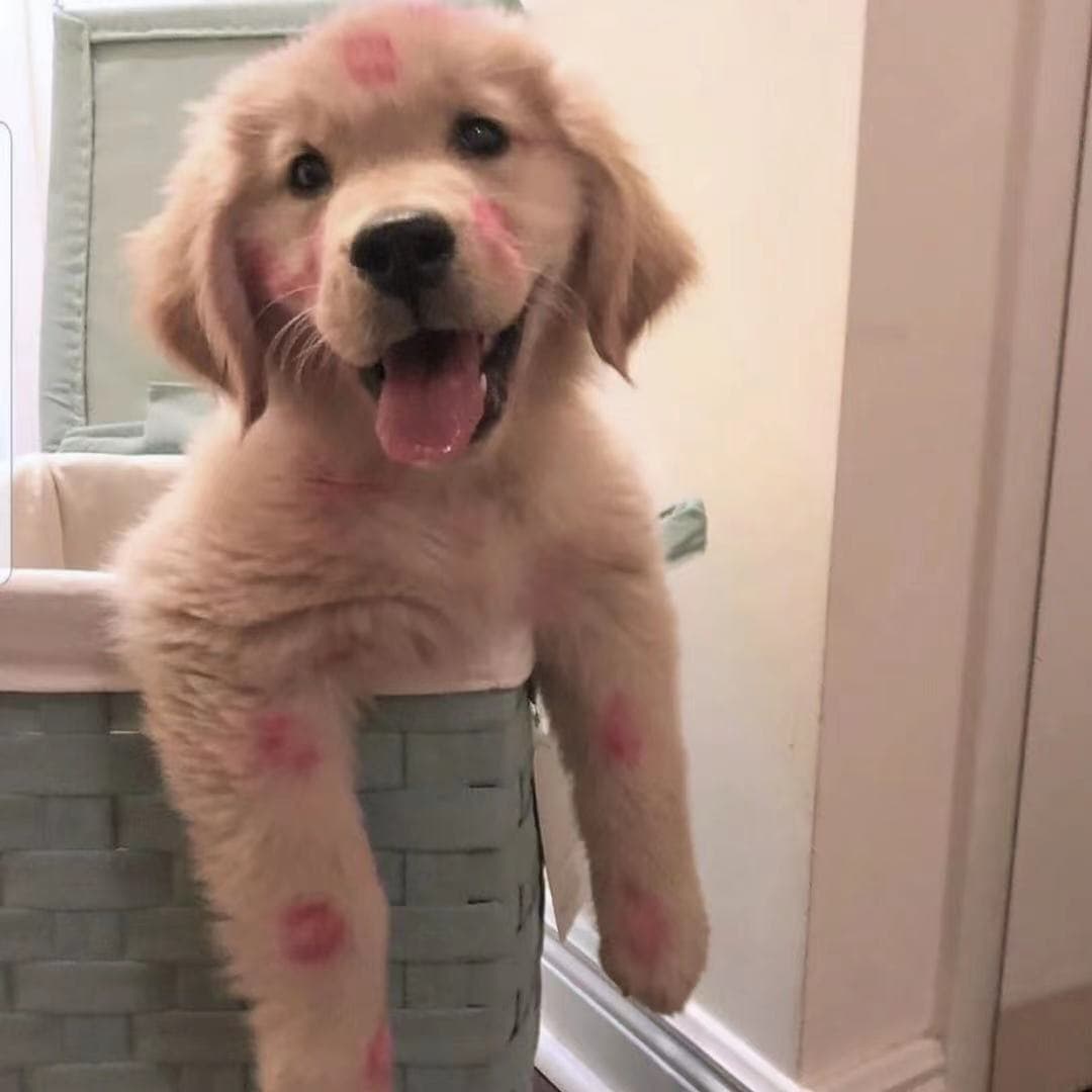 一个简单的九宫格抽奖