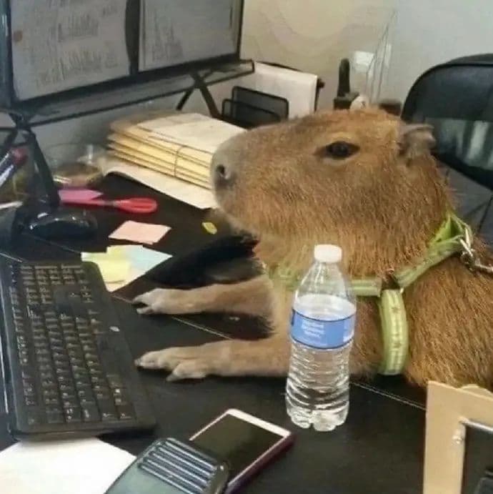 js 十六进制颜色转 rgb 颜色