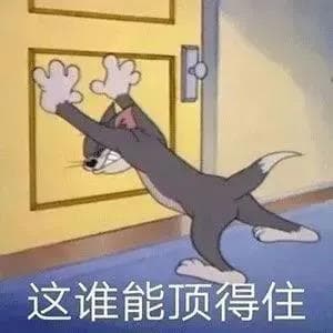 vue动态路由详解