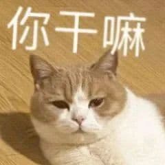 vue封装一个自适应高度的输入框组件