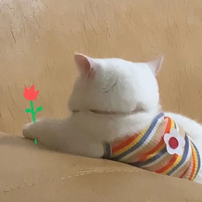 eggjs 在服务器中实现不中断更新