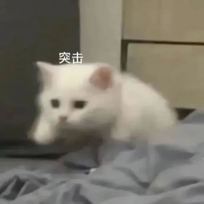 vue3响应式原理: reactive、computed、ref源码实现