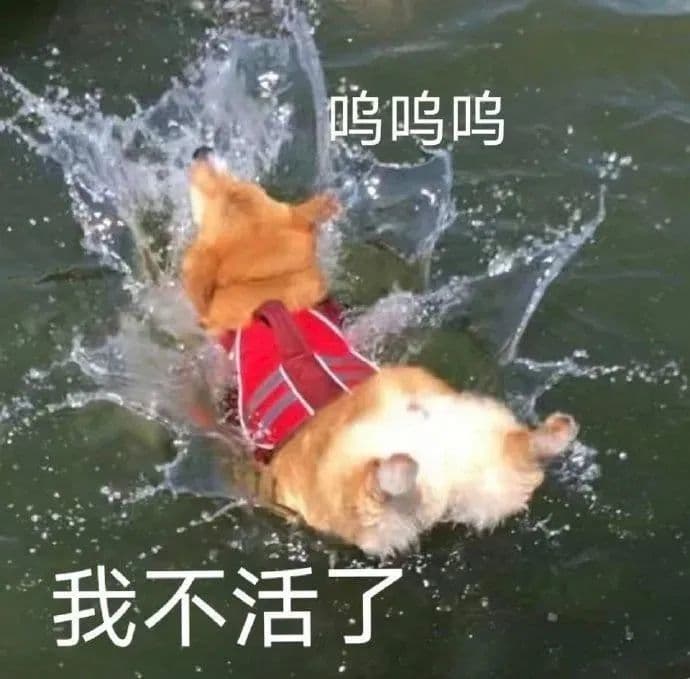 egg js 开启https服务的方法