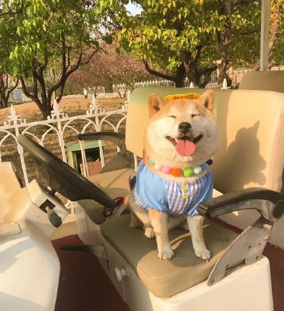 vue 跨域问题解决